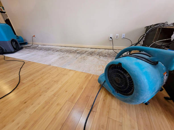 Professional Ceiling Water Damage Repair technician working in Miller Place, NY